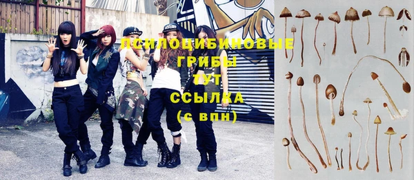 спиды Беломорск