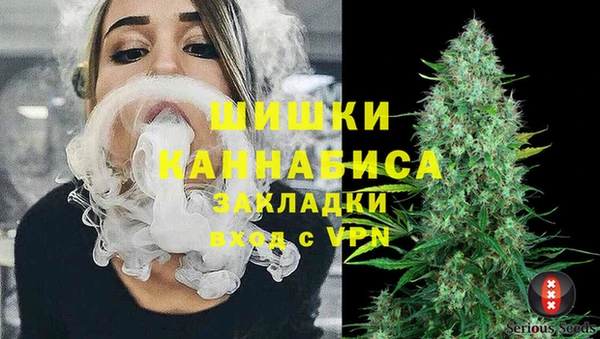 твердый Белокуриха